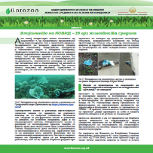NEWSLETTER_No1-Be_responsible_for_yourself_and_our_environment_during_the_pandemic