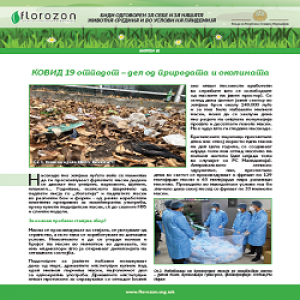 NEWSLETTER_No2-Be_responsible_for_yourself_and_our_environment_during